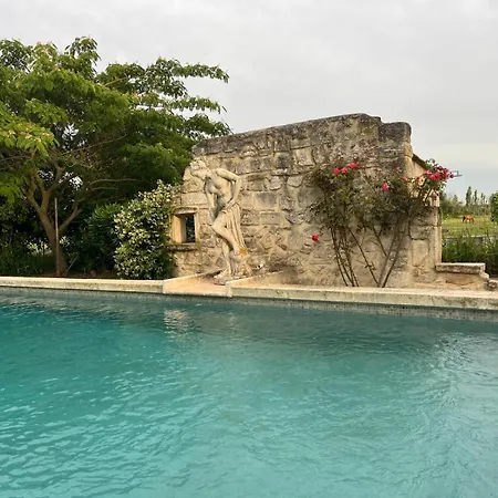 Victoria House Pool Garden Fourques (Gard)